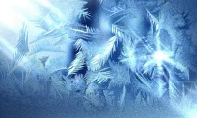 1986属虎人2021年运势如何 每月运势分析