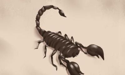 属猴人2021年牛年运势 属猴人在牛年运势如何