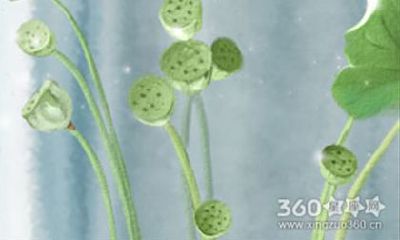 属虎的属相文化是什么 生肖虎的属相文化介绍