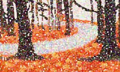 2021年属虎人射手座今天运势 财运如何