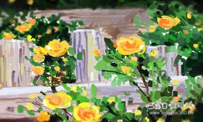 属虎的如何增加恋人之间的粘度？