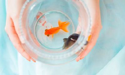 什么样的女生能镇住处女男