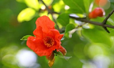 处女座老公有哪些优点