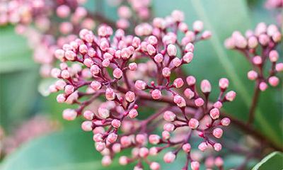 壬寅年2022年春季适合开业的吉利日子，开业的祝福语