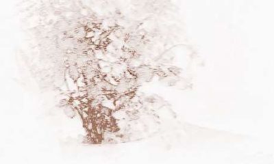 如何挽回处女座的心