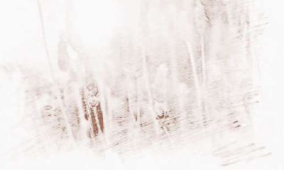 处女座积极和消极的表现