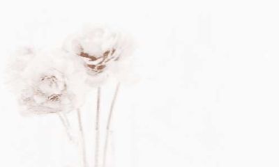 挖掘处女座在工作中的长处