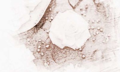 处女座如何追求喜欢的