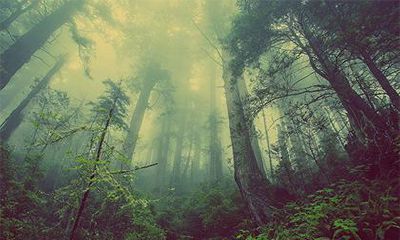 2022壬寅年农历下半年开业黄道吉日，新店开业布局要讲究什么？