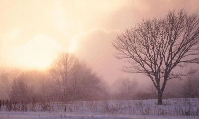 2022年冬季农历十月到十二月的黄道吉日大全