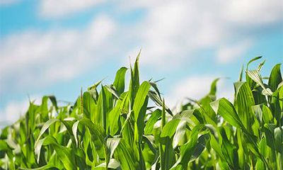 2022年夏季破日凶日的农历日期查询