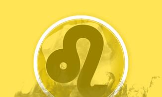 狮子座最适合的生日蛋糕