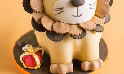 狮子座图片大全【专辑26】