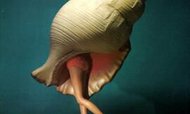 狮子座和巨蟹座的爱情