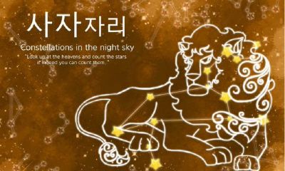 狮子座图片大全【专辑2】