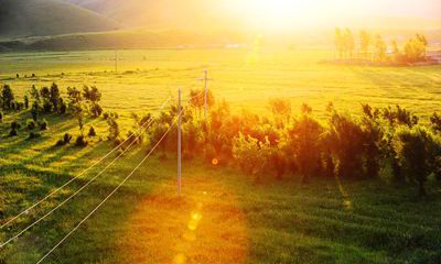 与狮子男的相处模式