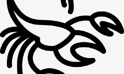 天蝎座成功的本钱