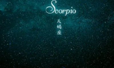 天蝎座与天蝎座配对