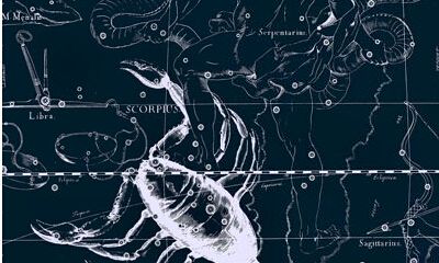 10月23日—11月21日天蝎座