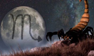 天蝎座与双鱼座配对