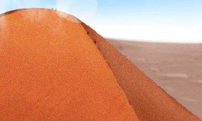 小气巴巴，属猴男对什么最不舍得花钱