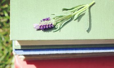 白羊座生日送什么礼物最好