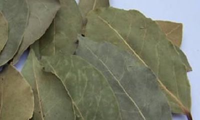 最适合天蝎座的花草茶