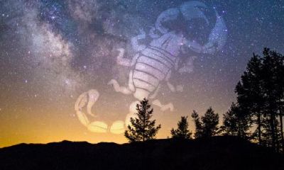 天蝎座图片大全【专辑7】