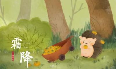 兔年霜降出生的孩子命好不好？性格有什么特点