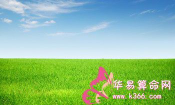 属猴人应注意哪些养生