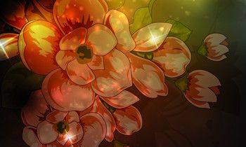 属猴人的人格从什么花中能看出来