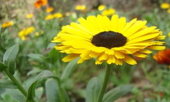 属猴人有了难言之隐会怎么处理