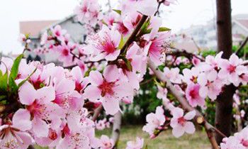 属猴男人都有哪些优点