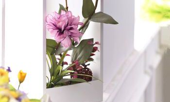 属猴爱情里的雷区是什么