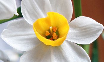 属猴人是如何度过光棍节的