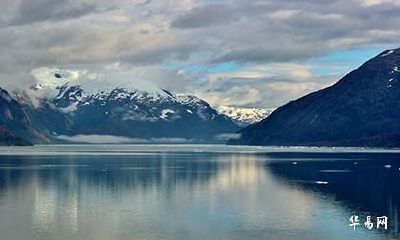 白蜡金属龙纹什么纹身_白蜡金适合什么颜色的车