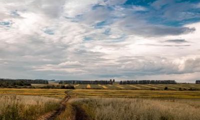 属龙人适合在哪个领域发展