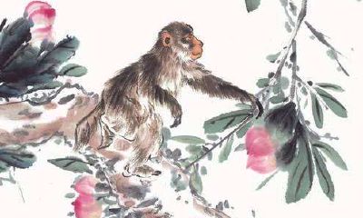 属猴申时出生好吗？生肖猴的缺点你知道吗？