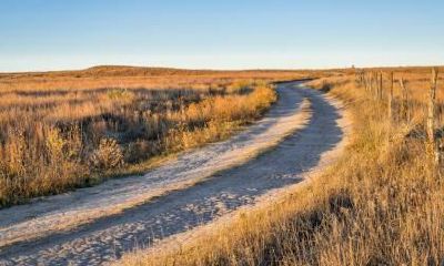 属龙人如何才能打开心扉