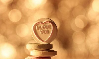 属相爱情分析：属猴的爱情如何？