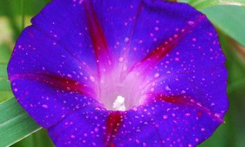 属猴人买房的风水秘诀是什么