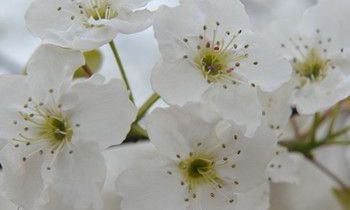 属猴人会在人生哪个阶段遭遇财政危机