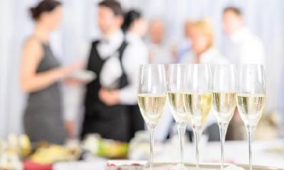 属龙的人格能从什么花中看出来