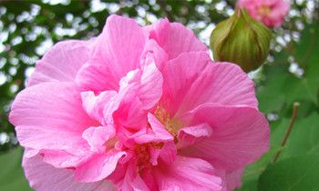 属猴的心血来潮会做些什么