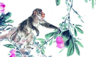 生肖猴本命年要注意什么