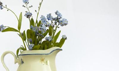 属龙的人属于什么物品