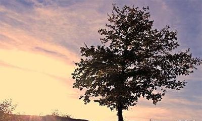 行雨之龙是什么意思,2012年行雨之龙是什么命