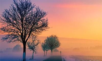 猴男比猴女大半年相克吗_两个04年属猴在一起好吗