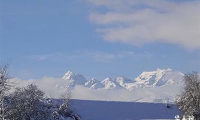 癸酉鸡剑锋金命好吗_93年剑锋金命女性格特点