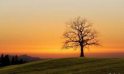 已婚鼠女爱上一个男人有结果吗_鼠女容易爱上哪个生肖男